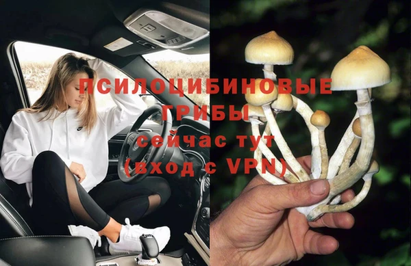 стаф Абдулино