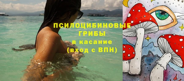 стаф Абдулино