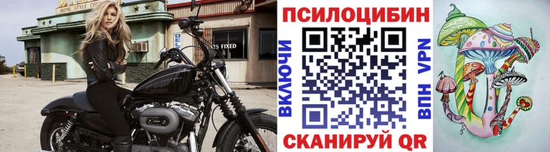 как найти   Мосальск  Галлюциногенные грибы прущие грибы 